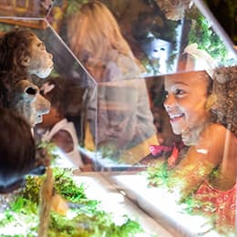 Få 18 % hos 4 forskellige Ripley's museer