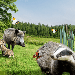 Få 20 % rabat på entrébilletten i AQUA Akvarium & Dyrepark