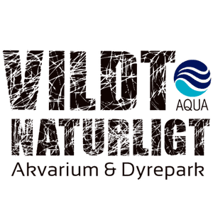 Få 20 % rabat på entrébilletten i AQUA Akvarium & Dyrepark