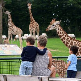 Få 10-15 % rabat på entrébilletter til Aalborg ZOO