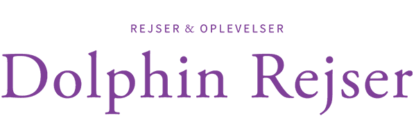 Få 7-12 % hos Dolphin Rejser